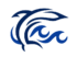 icononly transparent